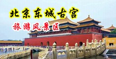 美女脱光衣服内射中国北京-东城古宫旅游风景区
